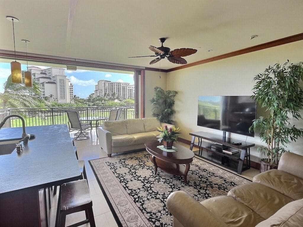 Living room has a queen size sofa sleeper